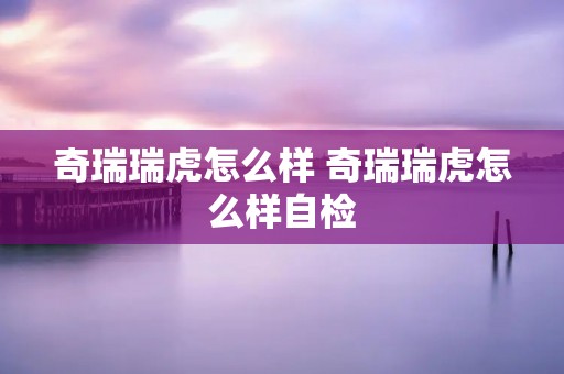 奇瑞瑞虎怎么样 奇瑞瑞虎怎么样自检