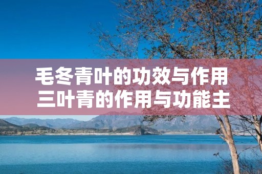 毛冬青叶的功效与作用 三叶青的作用与功能主治