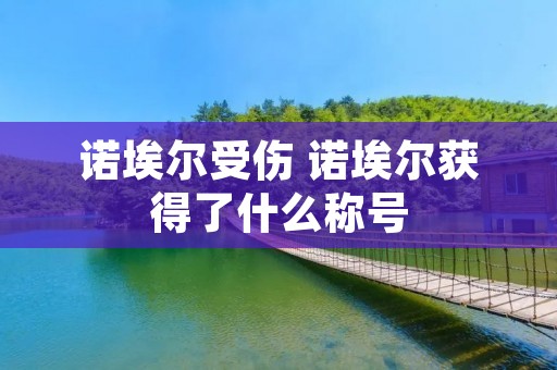诺埃尔受伤 诺埃尔获得了什么称号 诺埃尔受伤 诺埃尔获得了什么称号