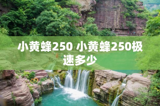 小黄蜂250 小黄蜂250极速多少