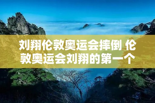 刘翔伦敦奥运会摔倒 伦敦奥运会刘翔的第一个栏架摔倒
