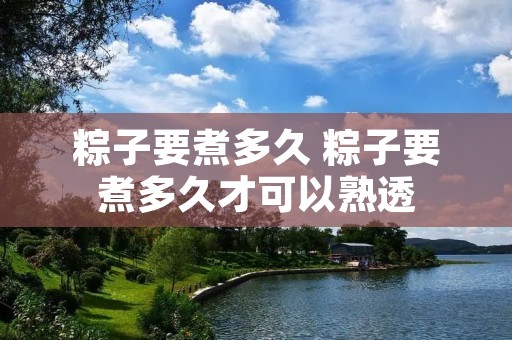 粽子要煮多久 粽子要煮多久才可以熟透
