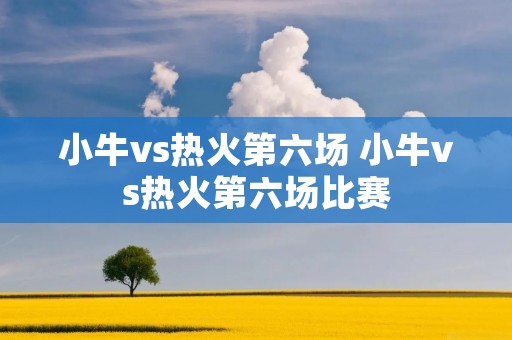 小牛vs热火第六场 小牛vs热火第六场比赛