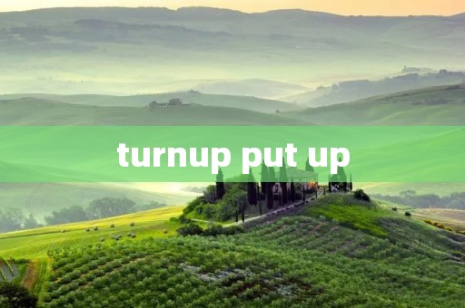 turnup put up