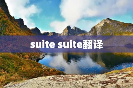 suite suite翻译