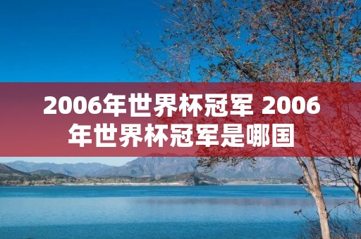 2006年世界杯冠军 2006年世界杯冠军是哪国