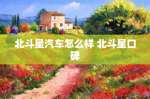 北斗星汽车怎么样 北斗星口碑