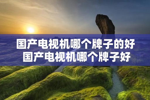 国产电视机哪个牌子的好 国产电视机哪个牌子好一点又便宜 国产电视机哪个牌子的好 国产电视机哪个牌子好一点又便宜