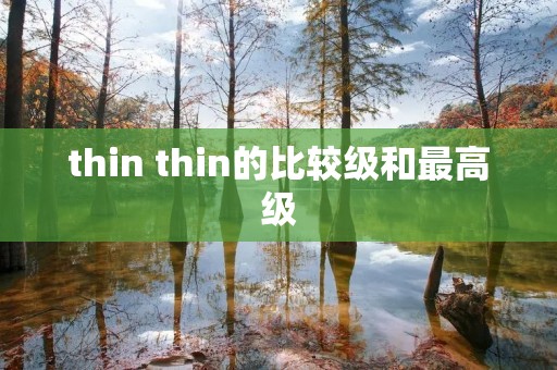 thin thin的比较级和最高级