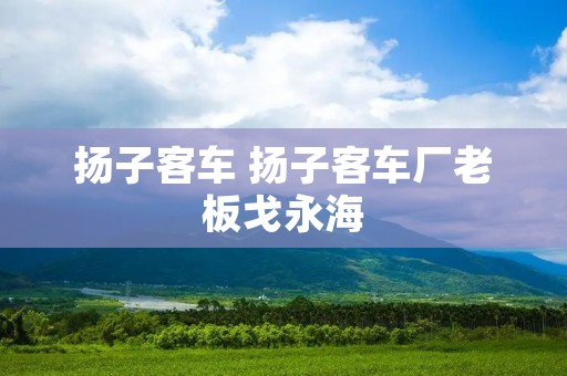 扬子客车 扬子客车厂老板戈永海 扬子客车 扬子客车厂老板戈永海