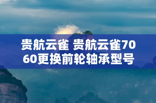 贵航云雀 贵航云雀7060更换前轮轴承型号 贵航云雀 贵航云雀7060更换前轮轴承型号