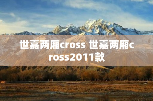 世嘉两厢cross 世嘉两厢cross2011款