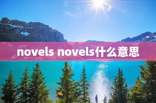 novels novels什么意思
