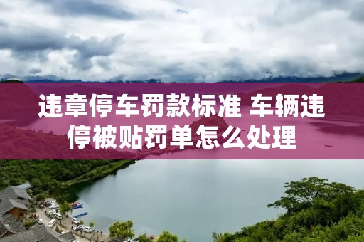 违章停车罚款标准 车辆违停被贴罚单怎么处理 违章停车罚款标准 车辆违停被贴罚单怎么处理