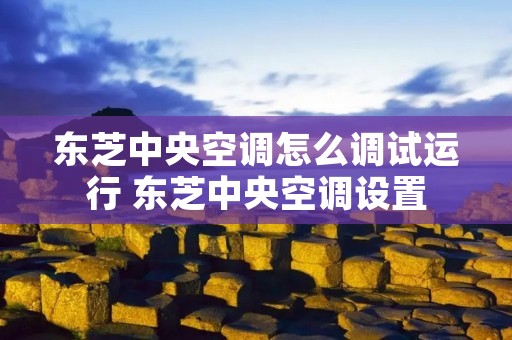 东芝中央空调怎么调试运行 东芝中央空调设置 东芝中央空调怎么调试运行 东芝中央空调设置