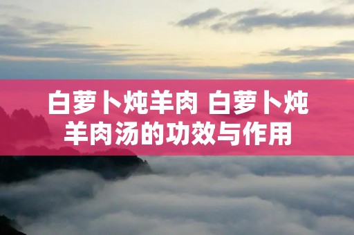 白萝卜炖羊肉 白萝卜炖羊肉汤的功效与作用