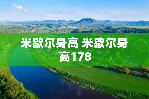 米歇尔身高 米歇尔身高178