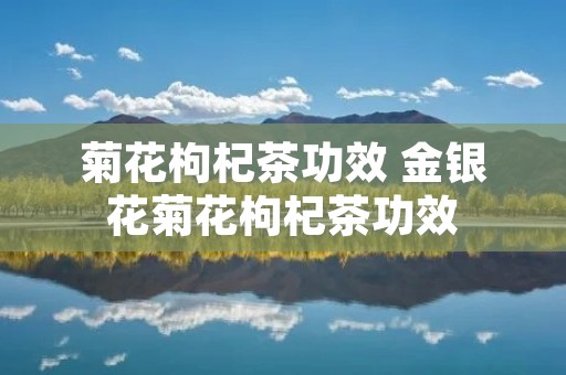 菊花枸杞茶功效 金银花菊花枸杞茶功效
