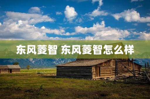 东风菱智 东风菱智怎么样