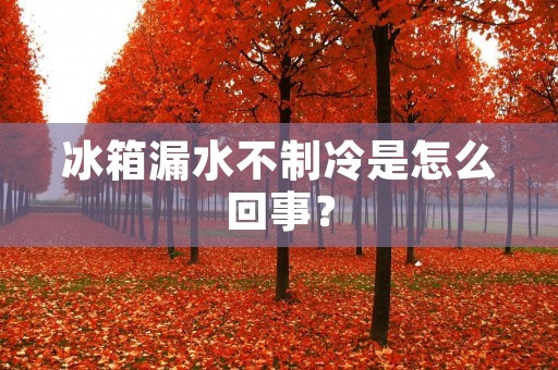 冰箱漏水不制冷是怎么回事? 冰箱漏水不制冷是怎么回事?