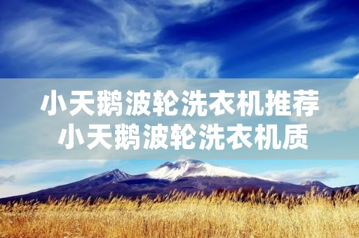 小天鹅波轮洗衣机推荐 小天鹅波轮洗衣机质量怎么样好不好 小天鹅波轮洗衣机推荐 小天鹅波轮洗衣机质量怎么样好不好