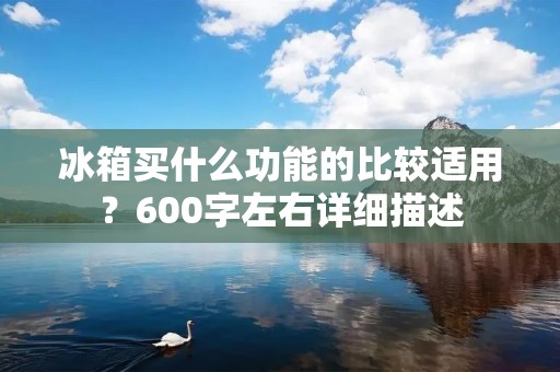 冰箱买什么功能的比较适用？600字左右详细描述：