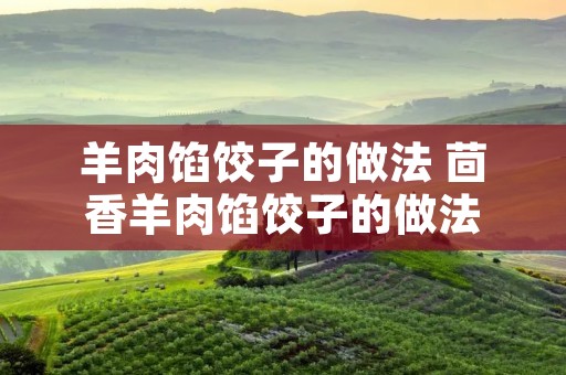羊肉馅饺子的做法 茴香羊肉馅饺子的做法 羊肉馅饺子的做法 茴香羊肉馅饺子的做法