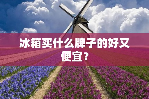 冰箱买什么牌子的好又便宜？