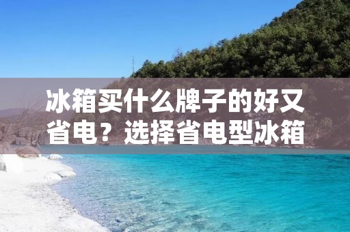 冰箱买什么牌子的好又省电?选择省电型冰箱品牌,为您节约能源与资金 冰箱买什么牌子的好又省电?选择省电型冰箱品牌,为您节约能源与资金