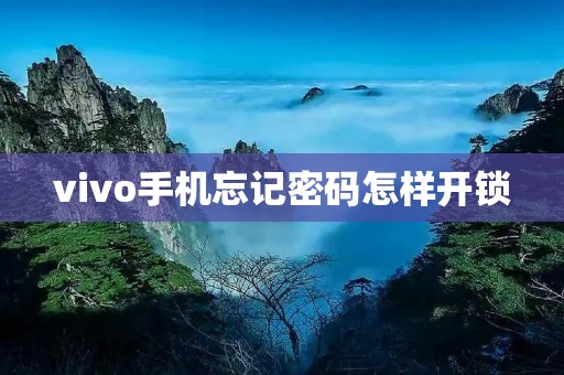 vivo手机忘记密码怎样开锁
