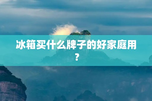 冰箱买什么牌子的好家庭用？