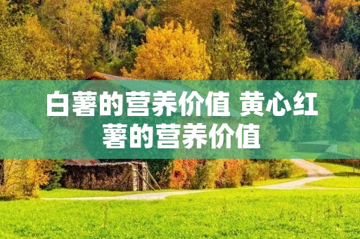 白薯的营养价值 黄心红薯的营养价值