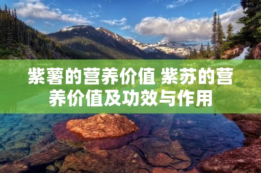 紫薯的营养价值 紫苏的营养价值及功效与作用