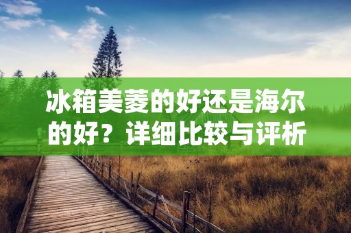 冰箱美菱的好还是海尔的好？详细比较与评析