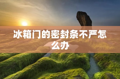 冰箱门的密封条不严怎么办 冰箱门的密封条不严怎么办