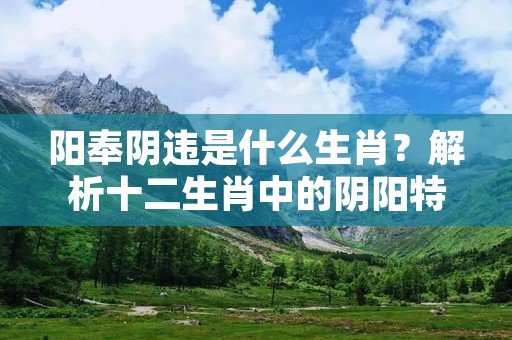 阳奉阴违是什么生肖?解析十二生肖中的阴阳特质