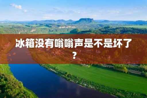 冰箱没有嗡嗡声是不是坏了？