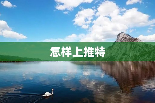 怎样上推特