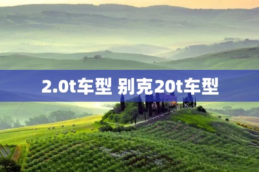 2.0t车型 别克20t车型