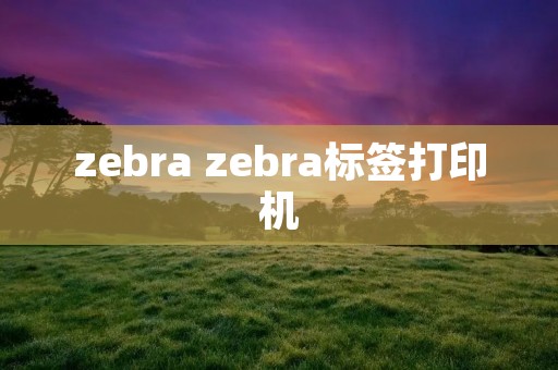 zebra zebra标签打印机