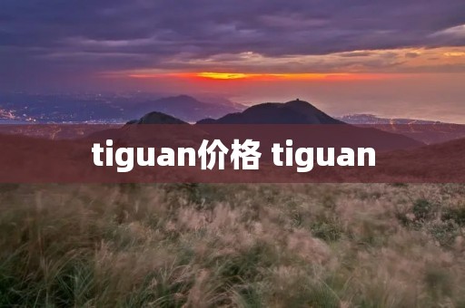 tiguan价格 tiguan