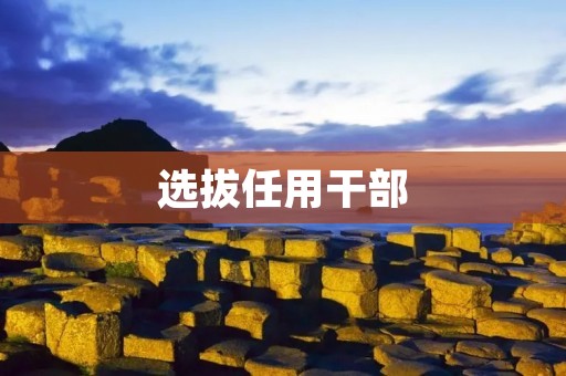 选拔任用干部:打造高素质领导班子的关键步骤