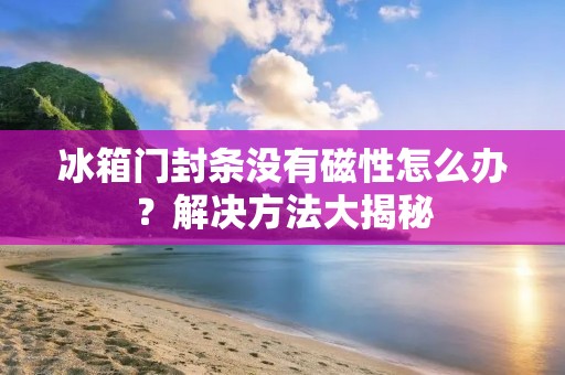 冰箱门封条没有磁性怎么办？解决方法大揭秘