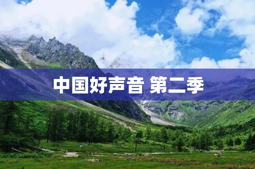 中国好声音 第二季:探索音乐之路的新篇章