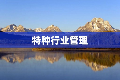 特种行业管理:探索高效运营的路径