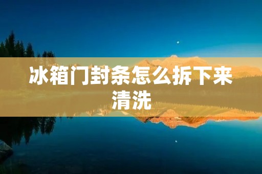 冰箱门封条怎么拆下来清洗：一步步教你轻松完成清洗任务