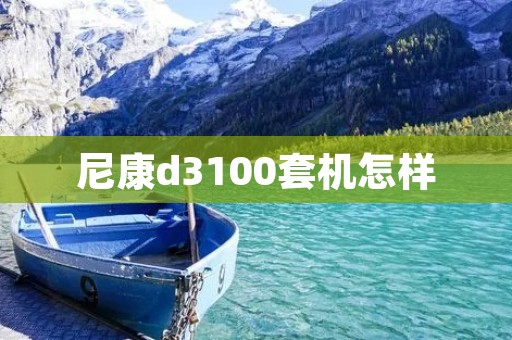 尼康d3100套机怎样