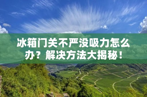 冰箱门关不严没吸力怎么办？解决方法大揭秘！