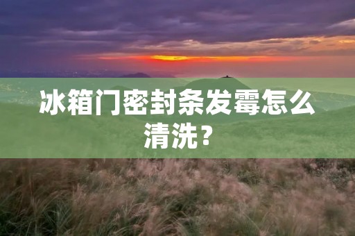冰箱门密封条发霉怎么清洗? 冰箱门密封条发霉怎么清洗?