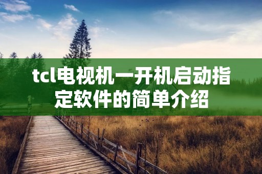 tcl电视机一开机启动指定软件的简单介绍
